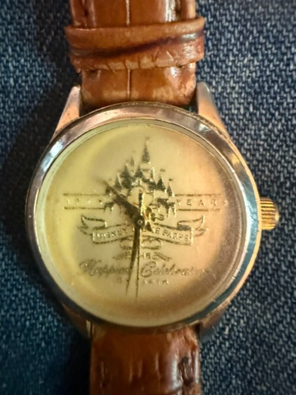 Complete Disney 50th Anniversary Ladies Watch & Box Set